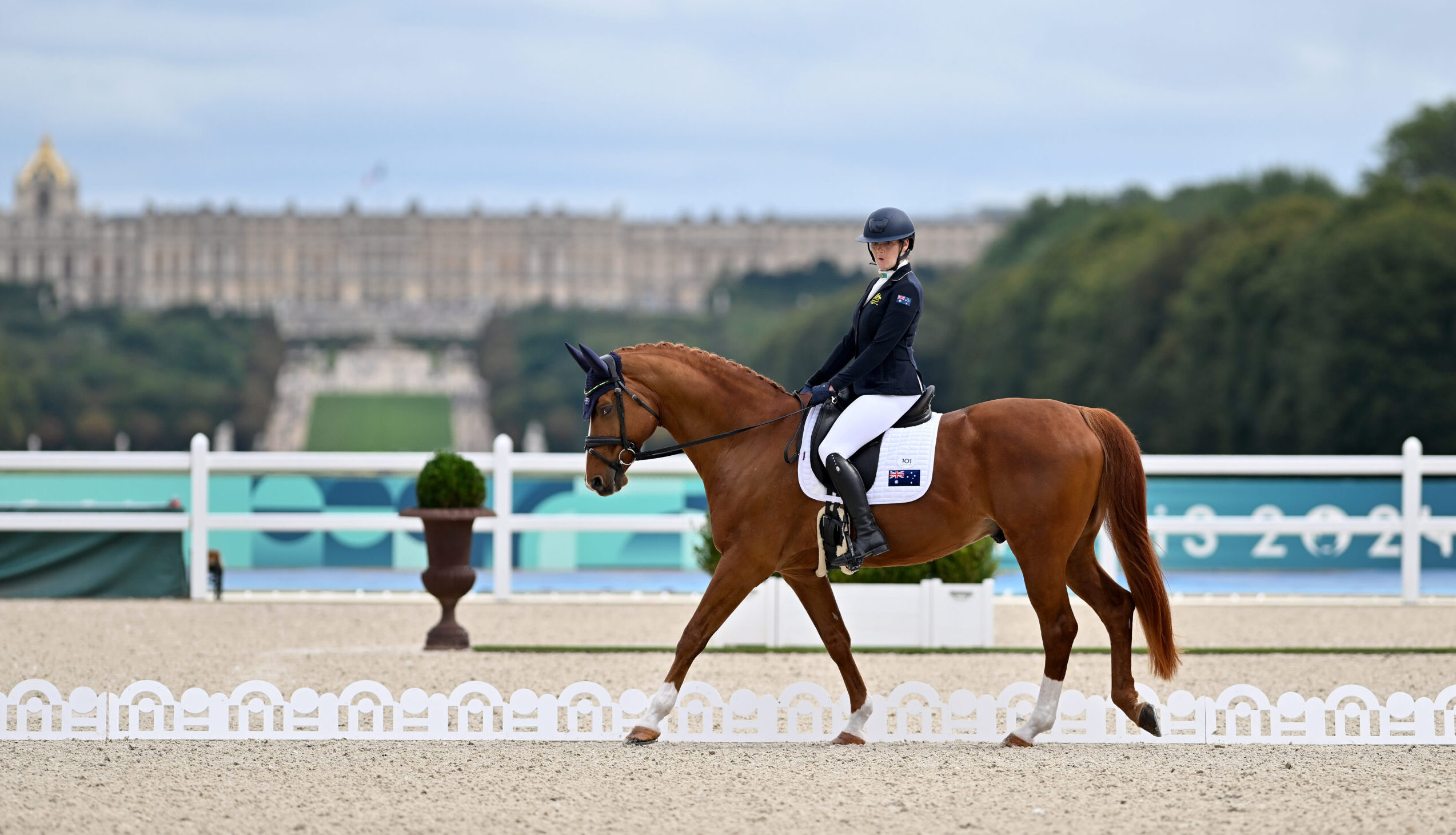 Para Equestrian image