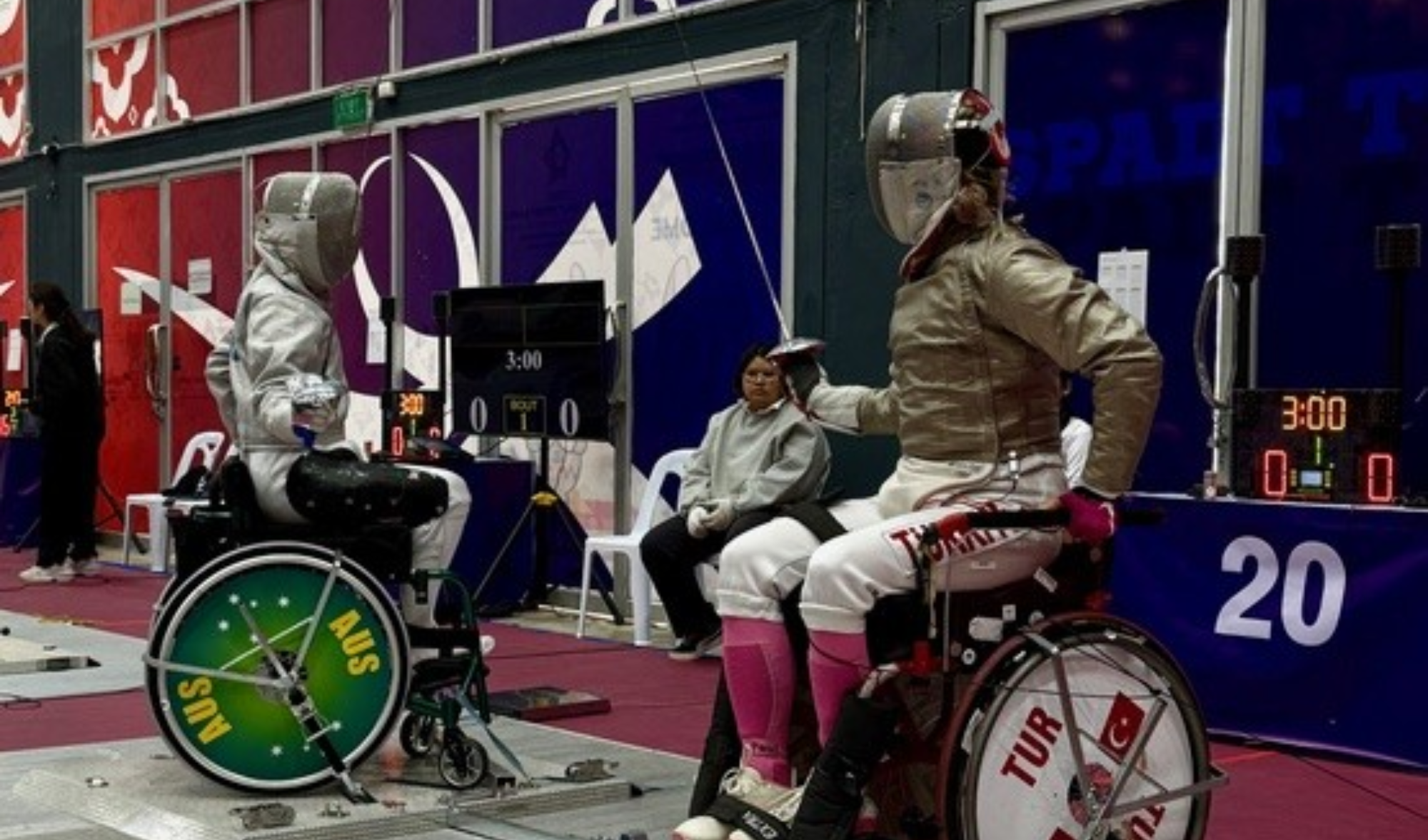 Wheelchair Fencing image